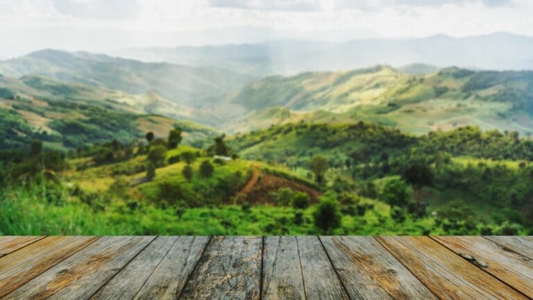 4 conseils pour raviver une terrasse en bois