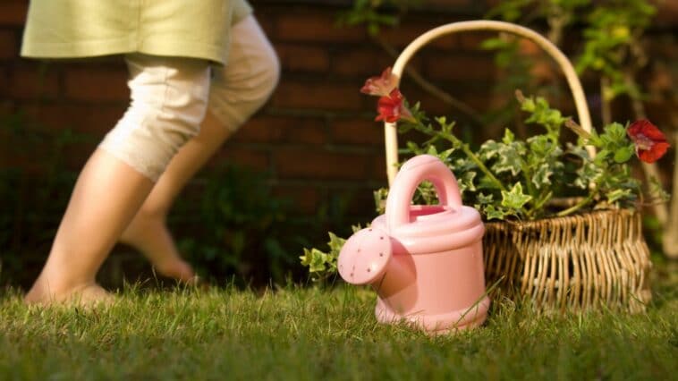 conseils pour vous aider à verdir votre environnement avec un petit jardin