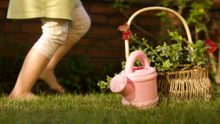 Des conseils pour vous aider à verdir votre environnement avec un petit jardin.