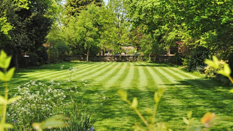 Jardin : Suivez ces 10 conseils et astuces pour avoir une pelouse au top tout l’été !