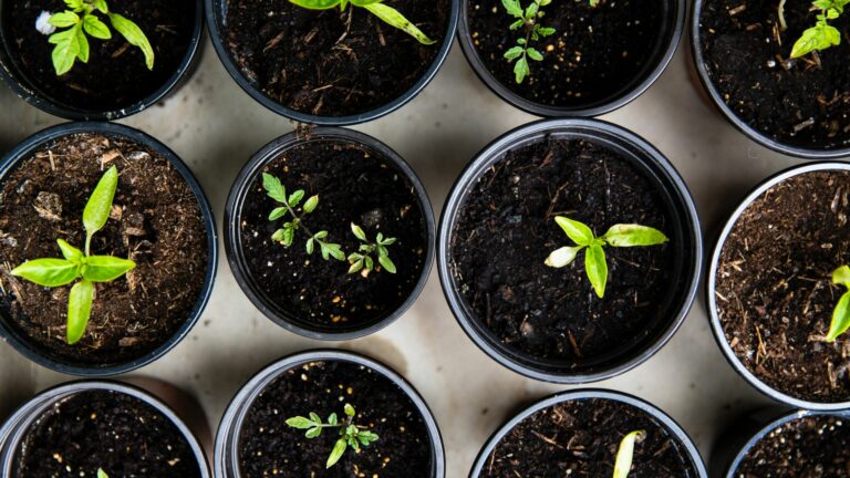 Quel est le salaire horaire d’un jardinier ?