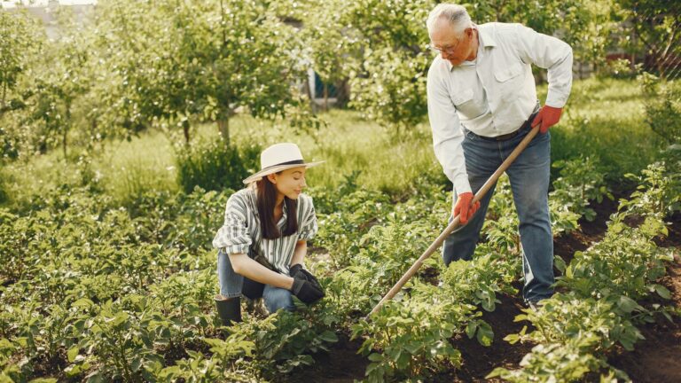 Comment bénéficier d’une aide au jardinage