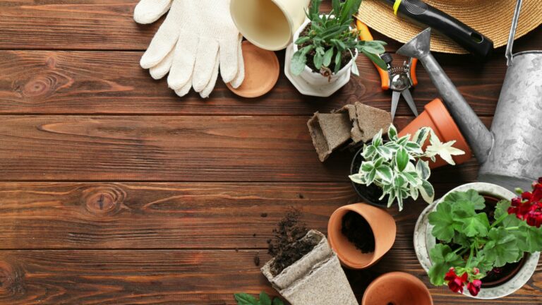 Conseils de jardiniers professionnels pour les débutants