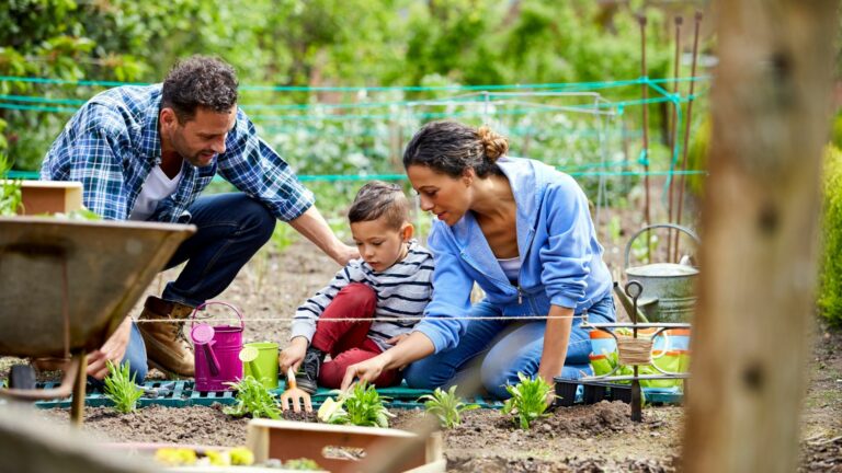 Quels sont les services de jardinage mis à la disposition du public ?