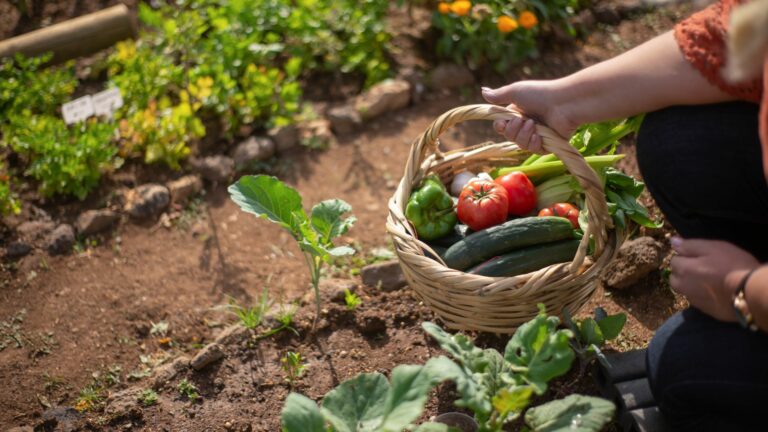 Comment choisir le meilleur service de jardinage ?