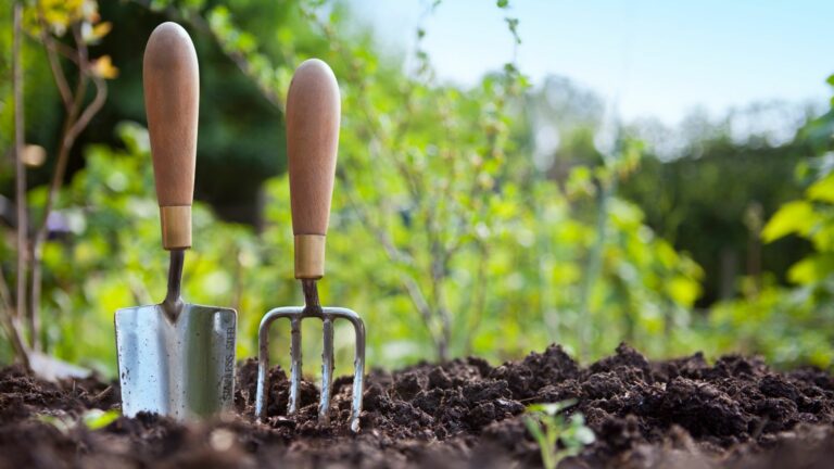 Il faut connaître les avantages du service à la personne et du jardinage quand on est entrepreneur.