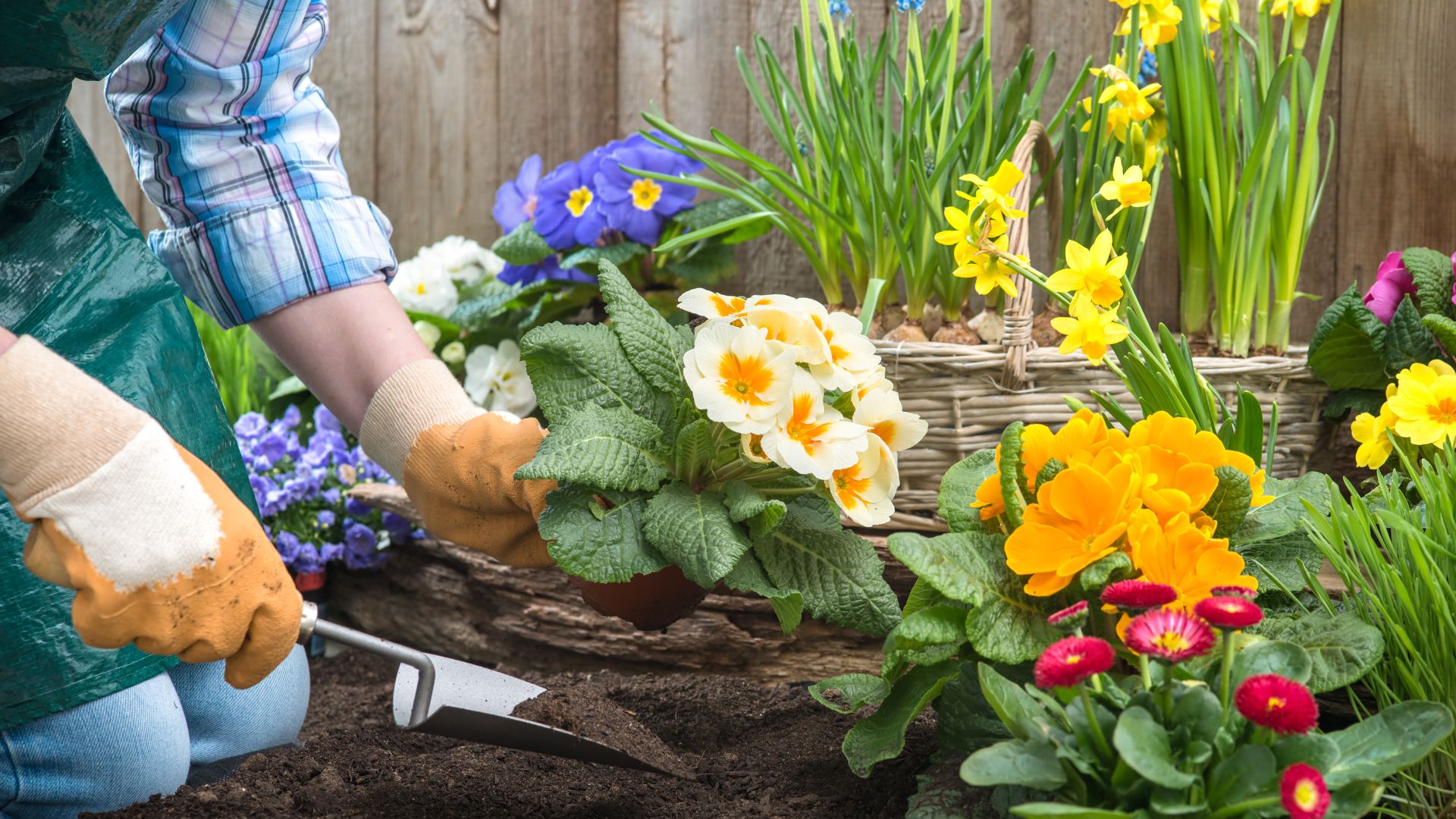 jardin et jardinage