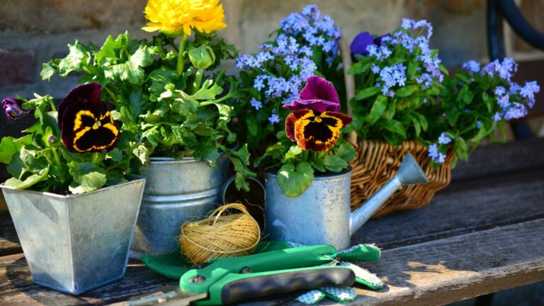 Où acheter du matériel de jardinage d’occasion