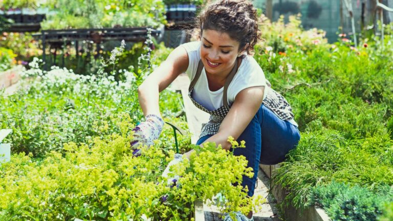 Le jardinage devient un plaisir quand il est bien fait !