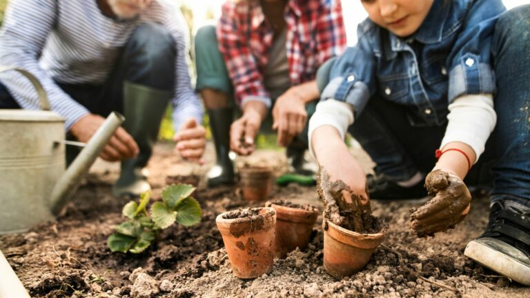 Comment choisir le bon matériel de jardinage professionnel ?