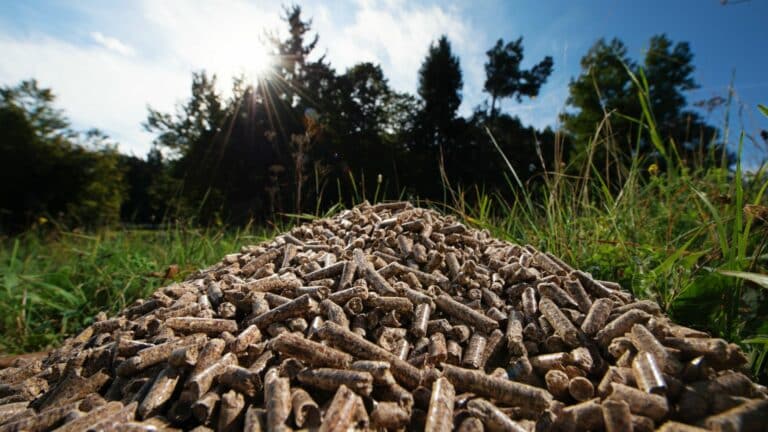 La pénurie de pellets : est-il facile et rentable de créer ses propres pellets ?