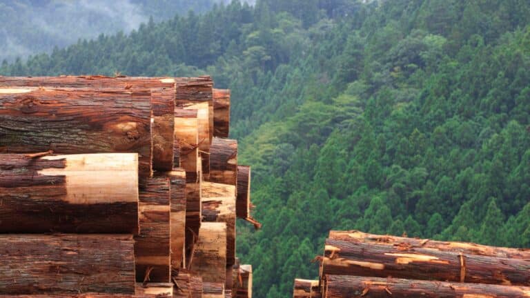 Quelles sont les qualités des bûches de bois densifiées ?