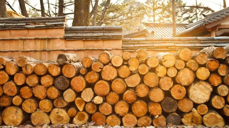 Quel est le prix d’un stère de bois de chauffage en ce moment ?