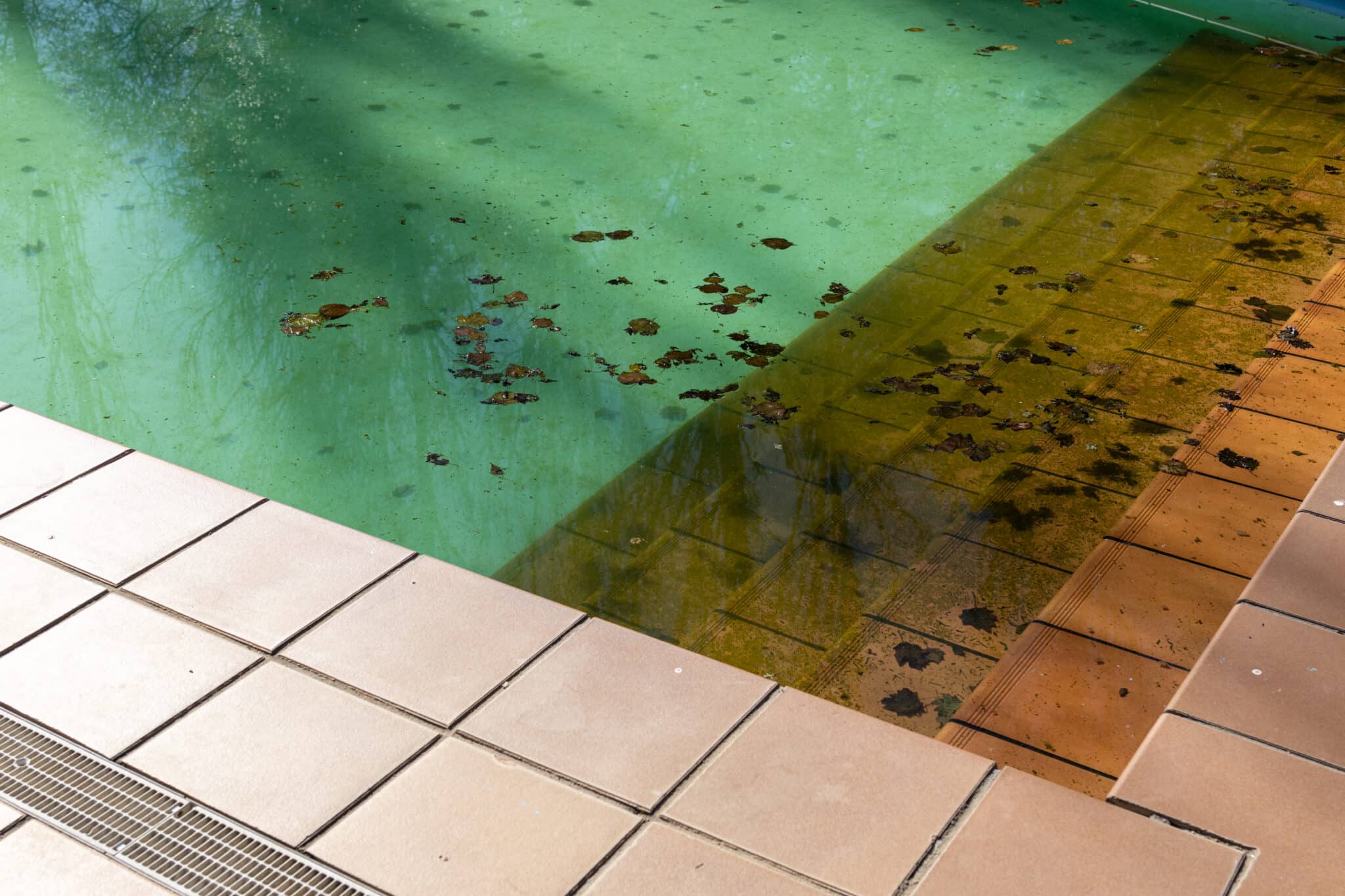 dirty swimming pool with leaves in the pool bottom. cleaning concept