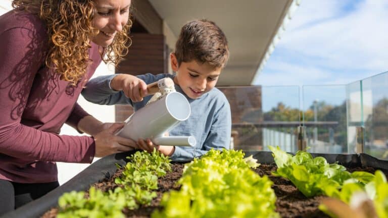 Comment concevoir un jardin potager bio en ville