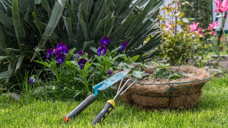 10 conseils indispensables pour préparer votre jardin à la sortie de l’hiver