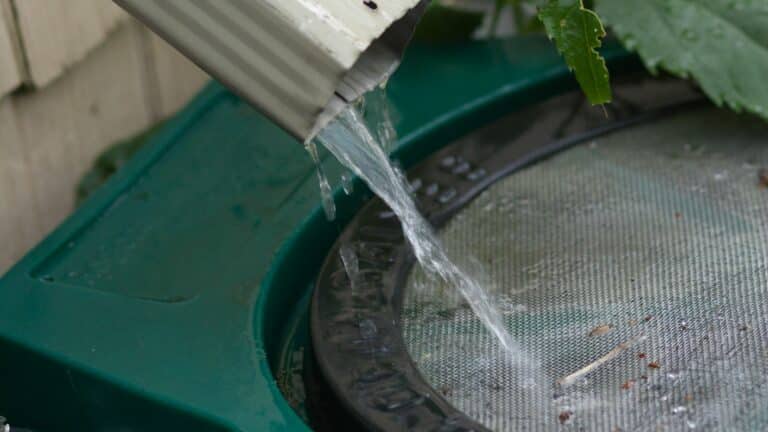 Notre guide pour récupérer l’eau de pluie : récupérateurs d’eau 5000L et installation souterraine