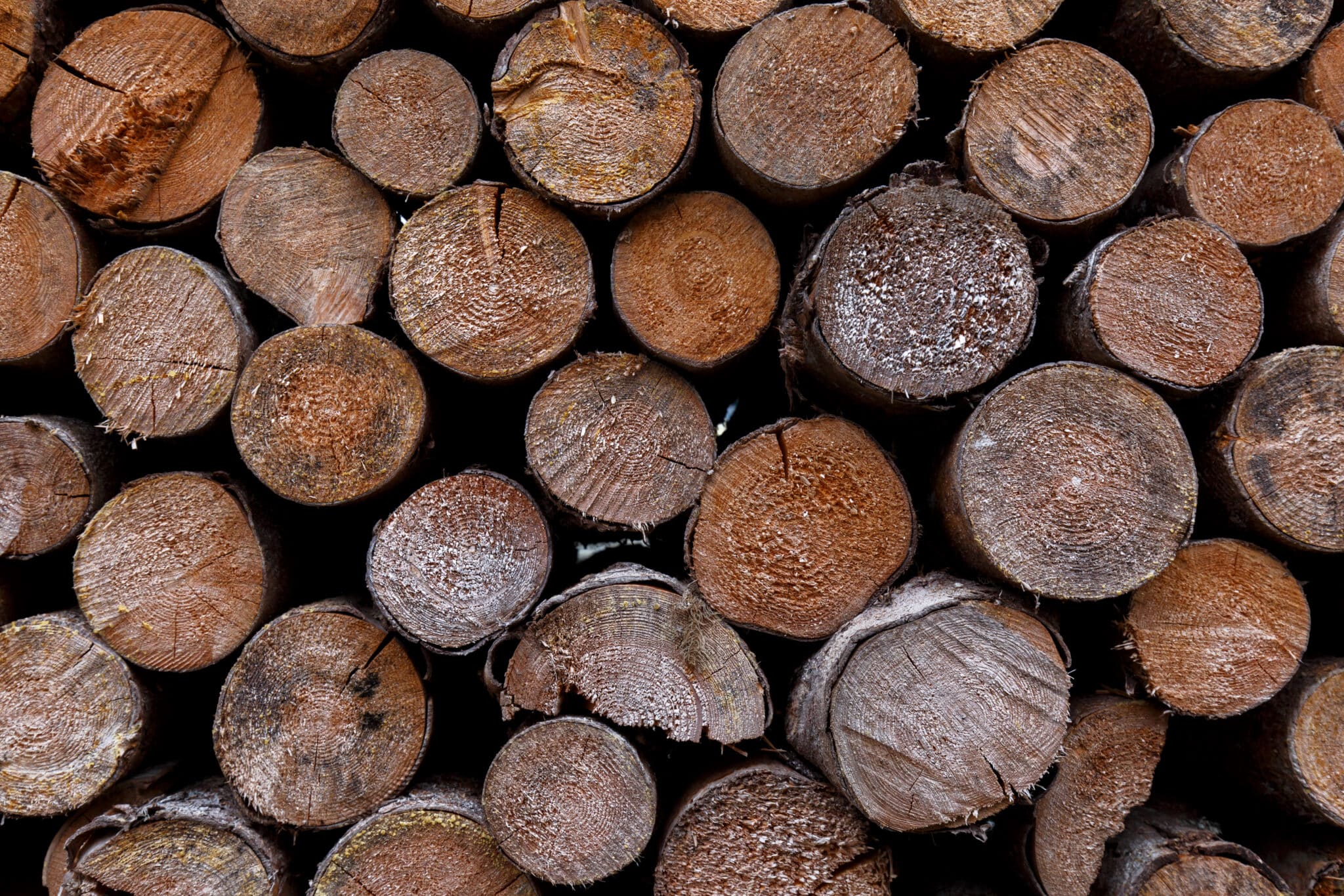 stacked pile of wood logs