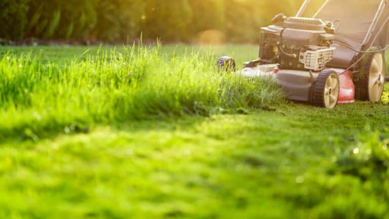 Tondeuse à essence vs tondeuse à batterie, ce que vous devez savoir