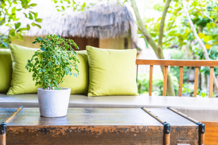 5 conseils pour amenager une terrasse dans votre jardin