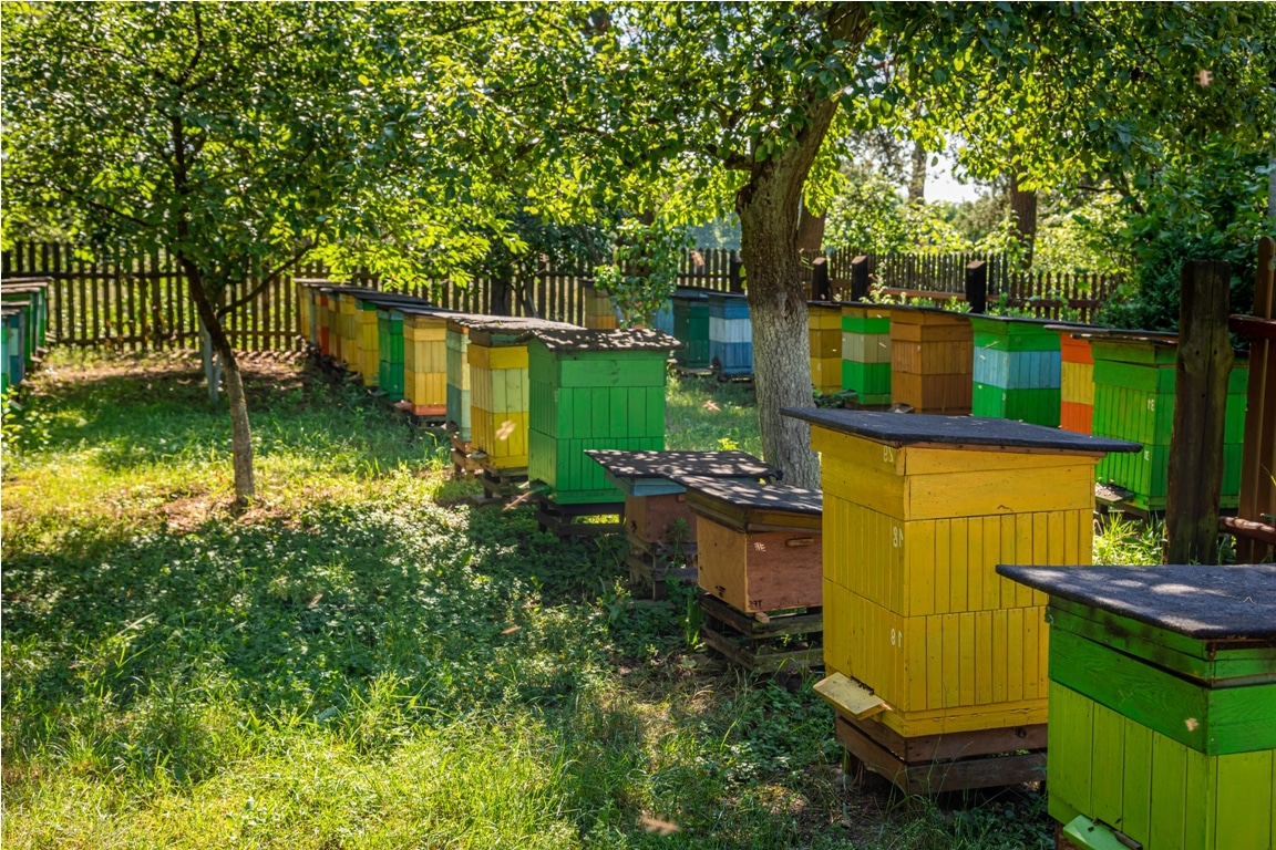 colorful beehives in the summer garden, europe