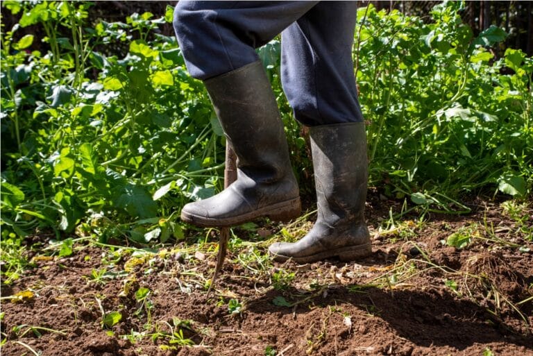 Guide Complet du Travail du Sol à la Bêche pour un Jardinage Réussi