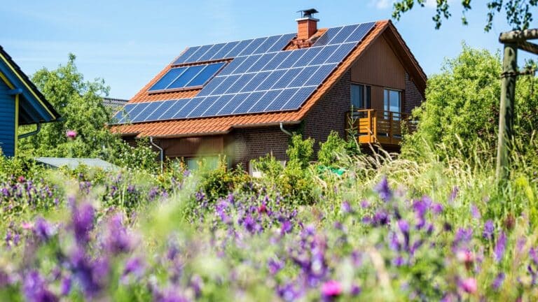 Quelle est la rentabilité des panneaux solaires ?