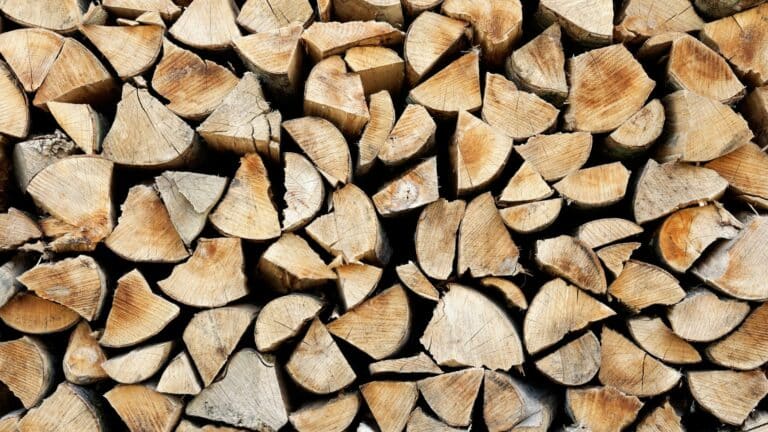 Prix d’une stère de bois en 50cm : le guide complet pour bien choisir