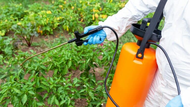 L’essentiel à connaître pour un dosage optimal du glyphosate dans 5 litres d’eau