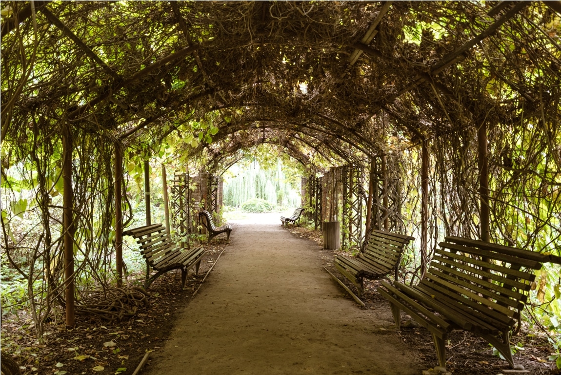 green pergola