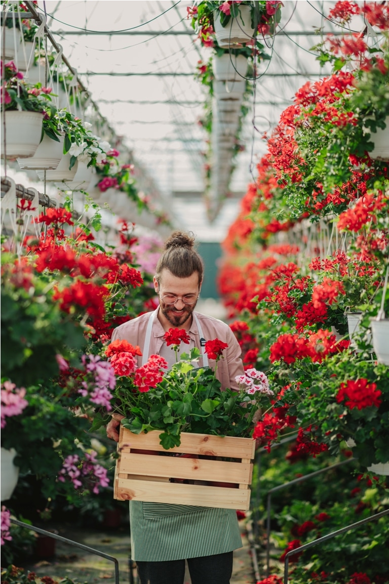 man gardener working in a greenhouse