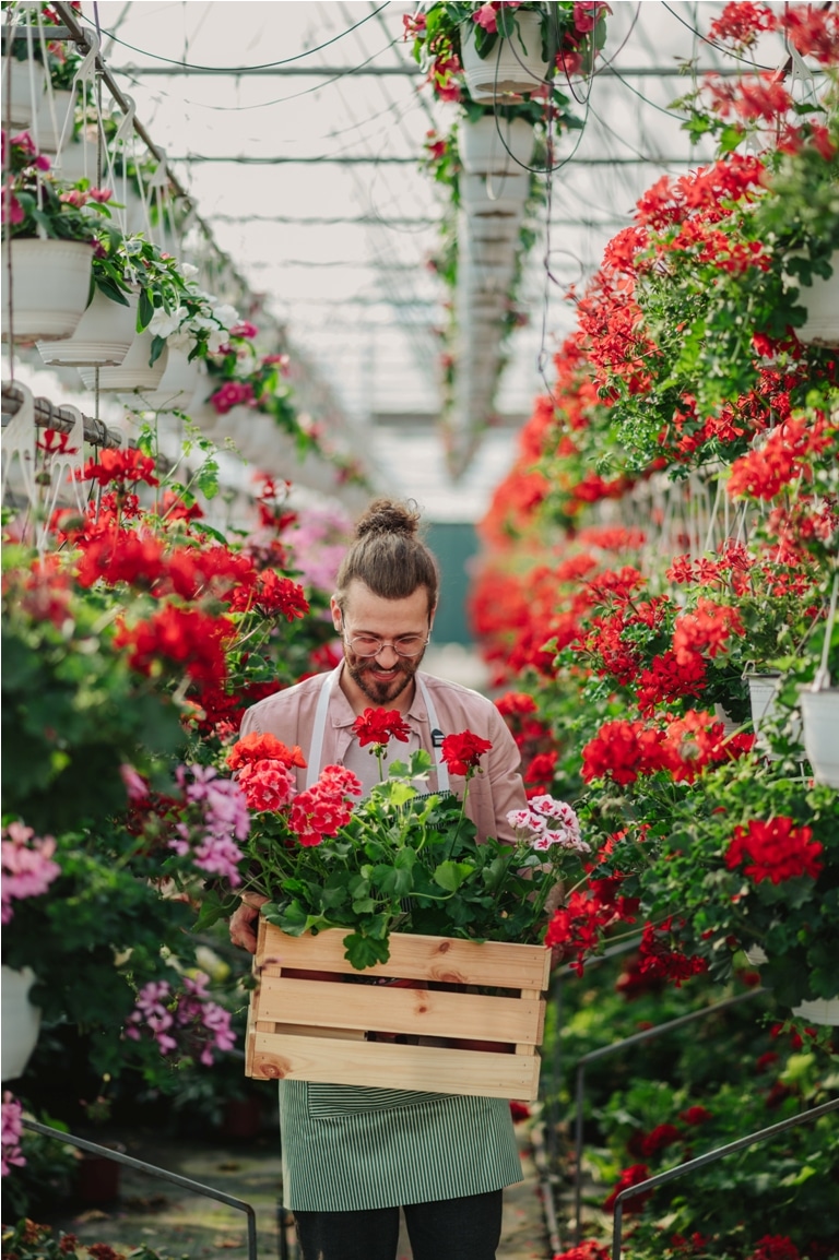 Imposition des serres de jardin : critères, calcul de taxe et conseils pour éviter les surcoûts