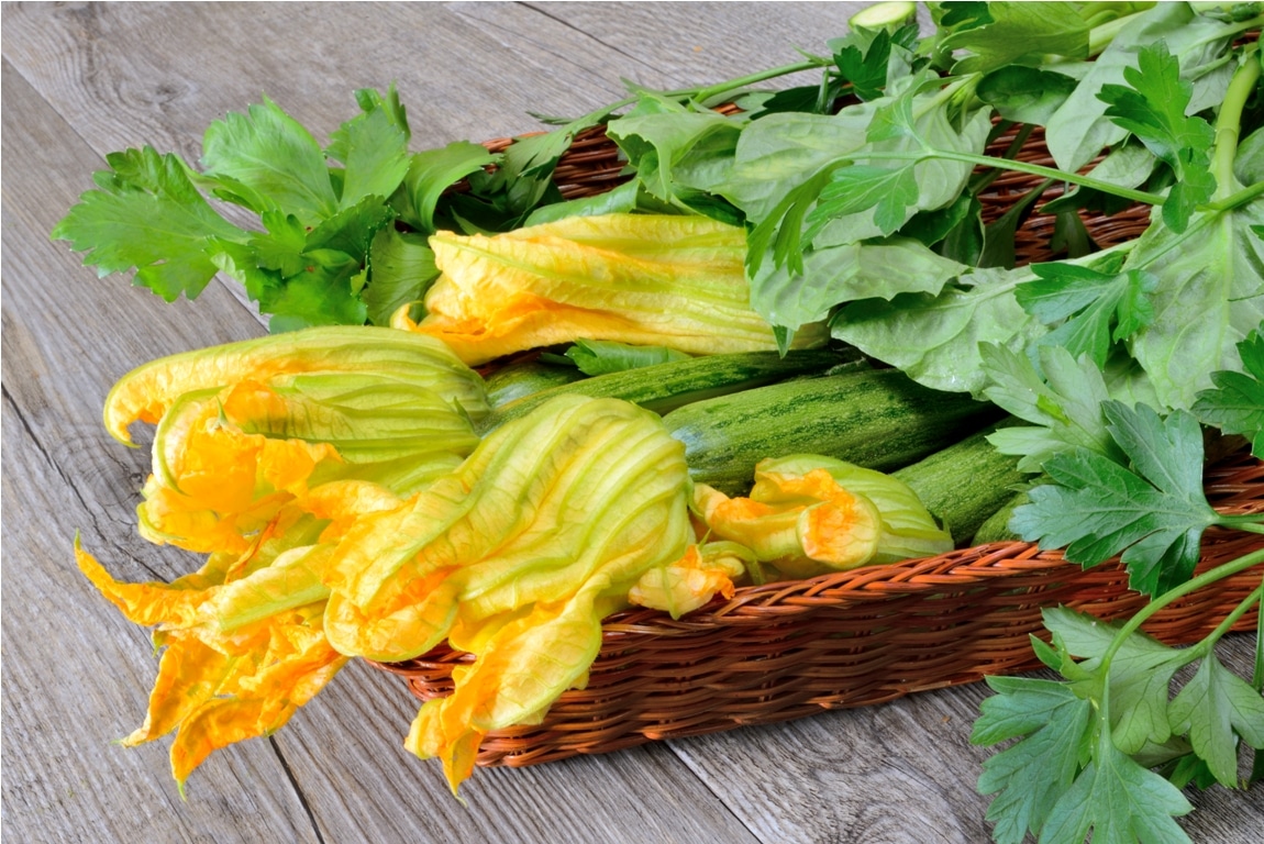 zucchini flowers