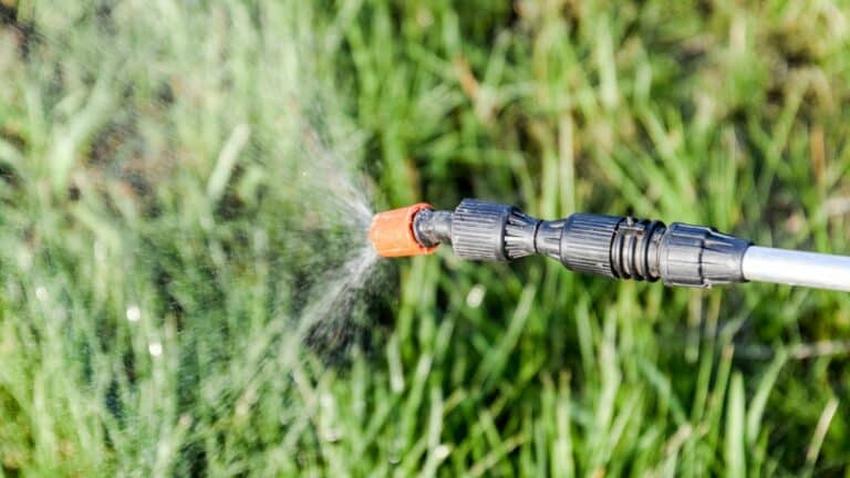 L’AdBlue : un herbicide écologique et économique