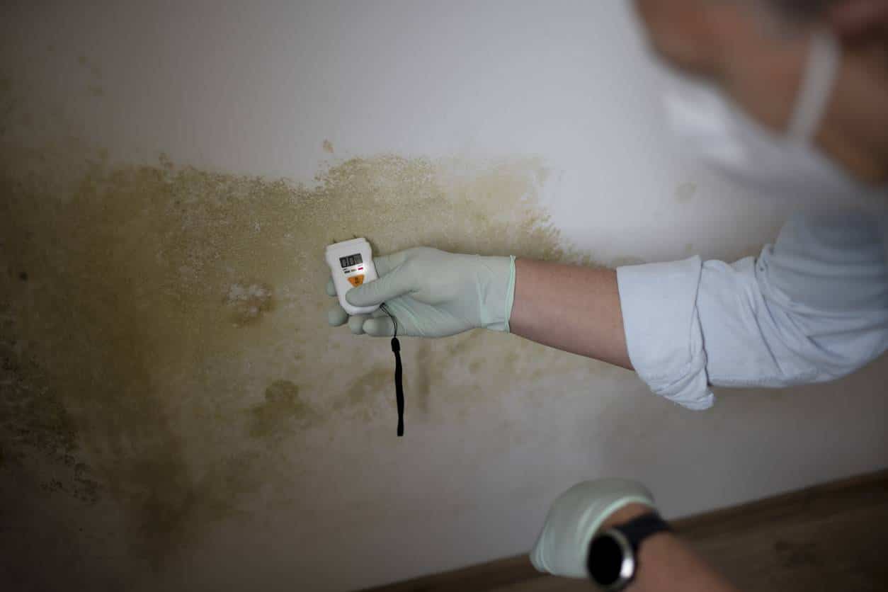 humidité solliciter un professionnel