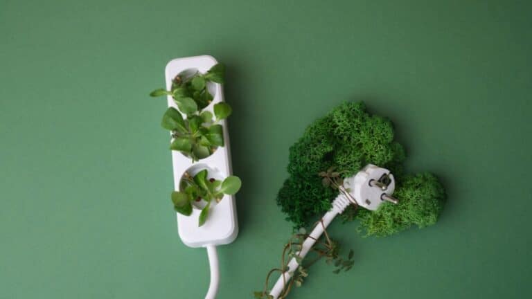 transition énergétique à la maison  actions simples pour un futur durable